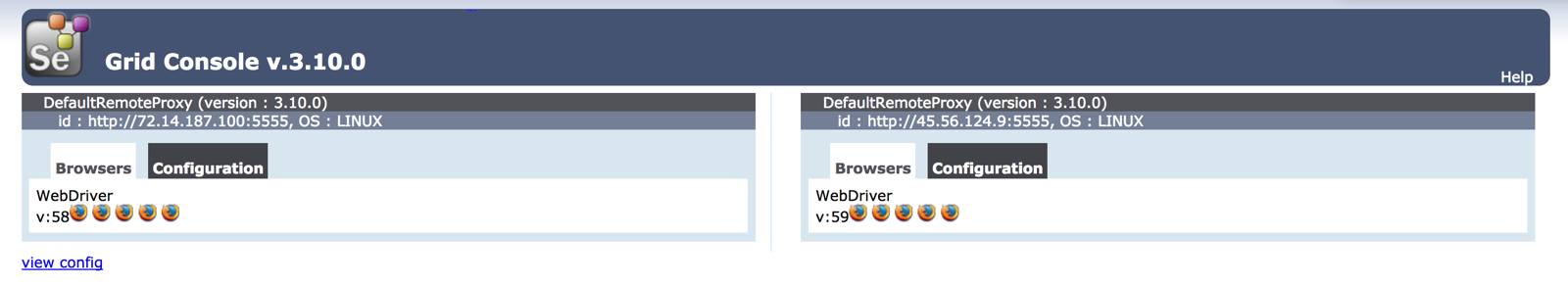 Selenium Grid Console